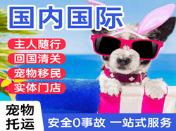 腾鳌机场物流国际宠物托运 【国